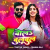 About Bola Bulbul Song