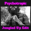 About Psychotropic (Jungled Up Edit) Song