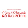 About Spicy Margarita (R3HAB Remix) Song