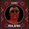 About Heal Africa Song