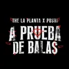 A PRUEBA DE BALAS