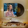 About Konuk Song