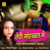 About Teri Mohabbat Main Song