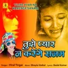 About Tujhe Pyar Na Karenge Sanam Song