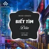 Biết Tìm Đâu (Remix Version)