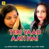 About Teri Yaad Aati Hai Song