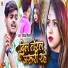 About Dil Toral Jaruri Rahe Song