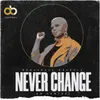 About Never Change Song