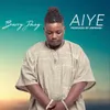 About Aiye Song