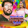 About Pichkari Sata Ke Rangwa Dal Dewoge Song