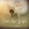 About Tere Bin Bapu Song
