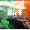 Birds In The Sky (Ryan Ennis Remix)