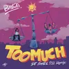 About Too Much (DJ Smallz 732 Remix) Song