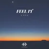 About Feel It Song