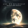 We're Stardust (feat. Kirsa Moonlight)