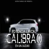 About Calibrao En Un Suzuki Song