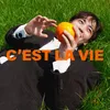 About C'EST LA VIE Song