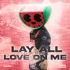 Lay All Your Love On Me