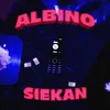 About Albino Song