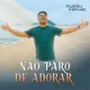 About Não Paro de Adorar Song