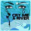 Cry Me a River (Radio Version)