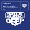 Keep The Funk Alive (Jazz-N-Groove Primetime Extended Mix)