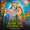 About Radhe Tere Charno Ki Song