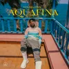 About Aquafina Song