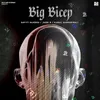 About Big Bicep Song