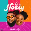 About Oh My Honey Song