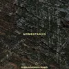 About Momentaries (feat. Naber) Song