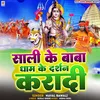 About Sali Ke Baba Dham Ke Darshan Karadi Song