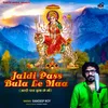 About Jaldi Pass Bula Le Maa Song