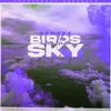 Birds In The Sky (Tays & Charva Boys Remix)