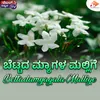 About Bettadamyagala Mallige Song