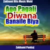 About Ago Pagali Diwana Banaile Biya Song
