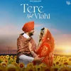 About Tere Naal Viahi Song