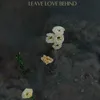 About Leave Love Behind Song