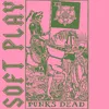 About Punk's Dead Song