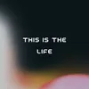 About This Is The Life (feat. Julia Hallasen) Song