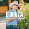 About É Bruta Song