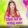 About Jiye Mare Ke Kailu Vada Song