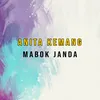 About Mabok Janda Song