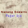 Pagar Ayu