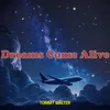 About Dreams Come Alive Song