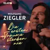 About Die ersten Träume sterben nie Song