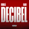 About DECIBEL Song