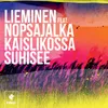 About Kaislikossa suhisee (feat. Nopsajalka) Song
