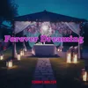 About Forever Dreaming Song