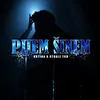 About Pijem šinem Song